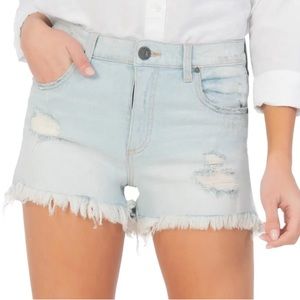 Jane High Waist Distressed Fray Hem Cutoff Denim Shorts